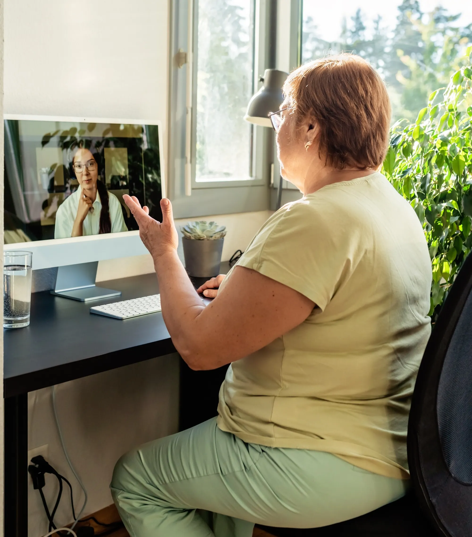 Online telehealth session